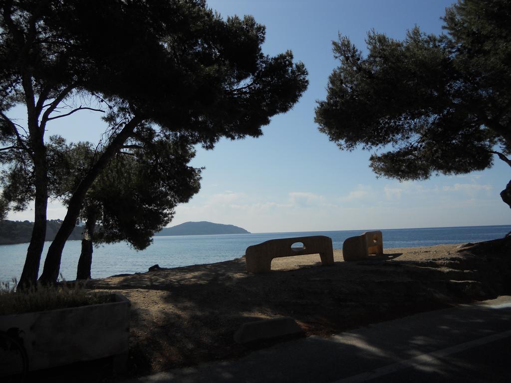 Studio Le Peneque Des Anges La Ciotat Rom bilde